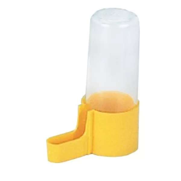 STA C006