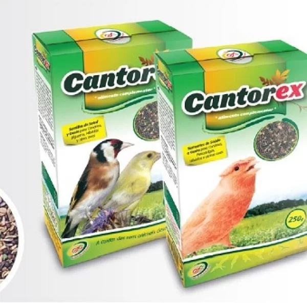 Sem. Saude/Canto 