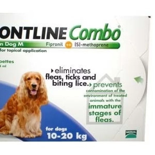 Cão M 10-20kg