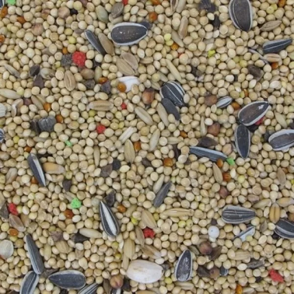 800 gr