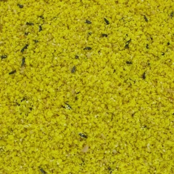  300 gr