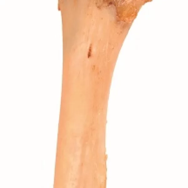 Jumbo