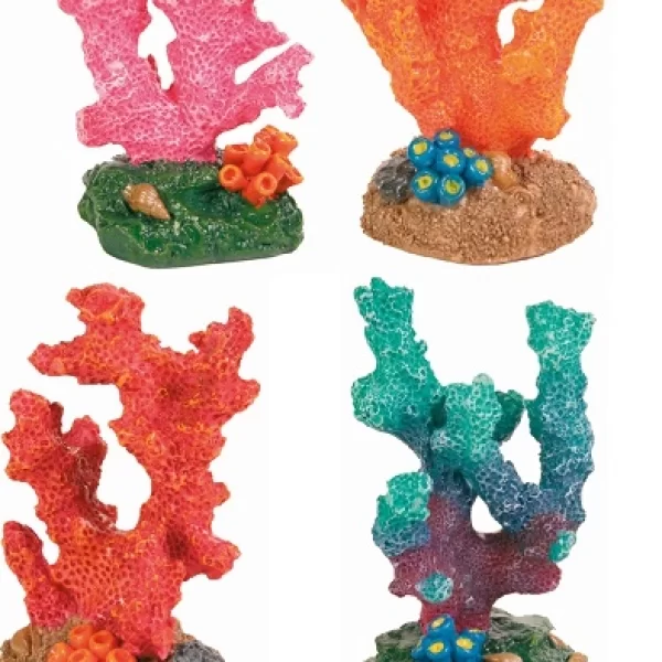 Coral
