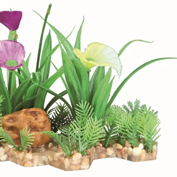 Planta em leito areado